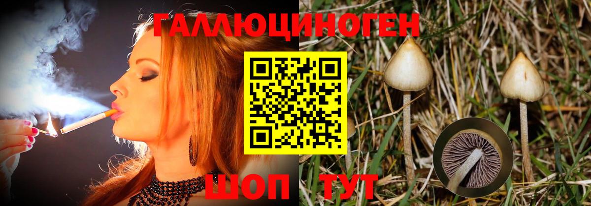 Галлюциногенные грибы прущие грибы  Галлюциногенные грибы MAGIC MUSHROOMS  Вход с VPN  Красноперекопск 
